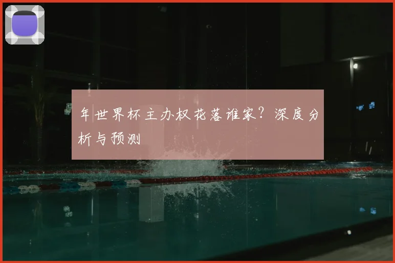 年世界杯主办权花落谁家？深度分析与预测