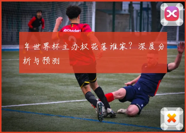 年世界杯主办权花落谁家？深度分析与预测